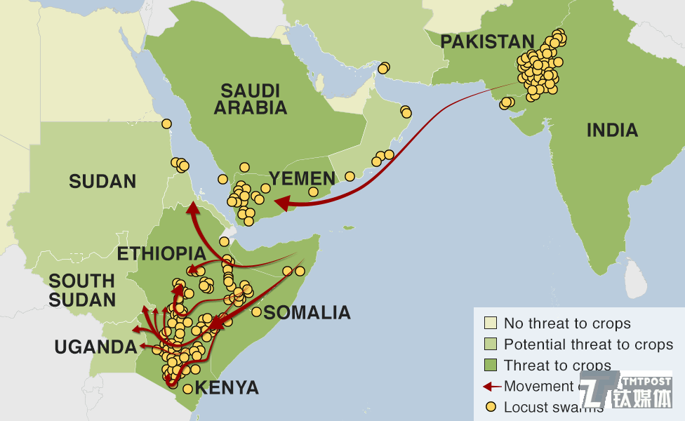 非洲蝗灾路线图
