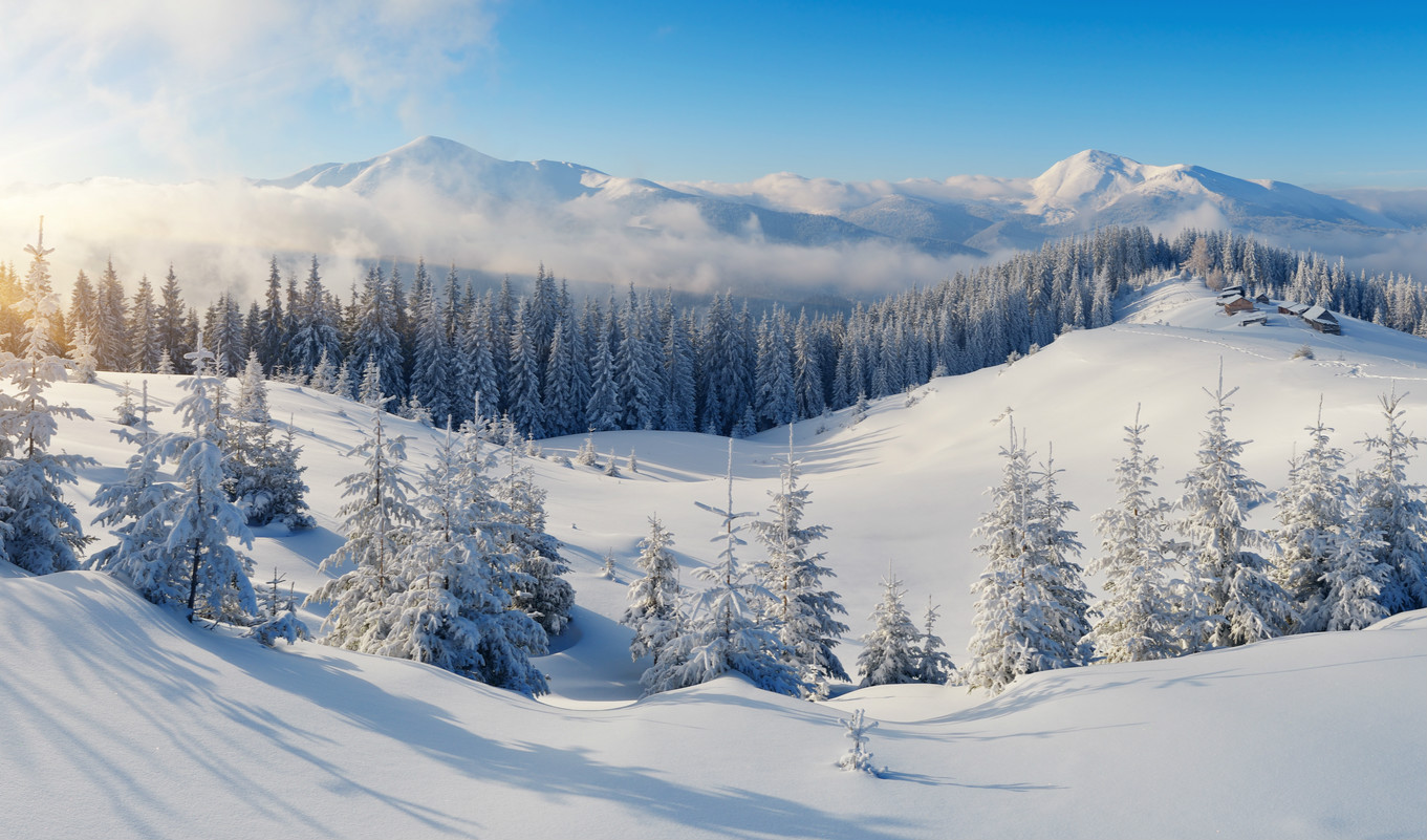 图片来源于壹图网