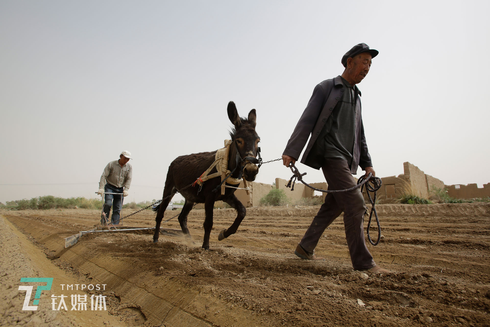 几十年以来,当地人种地的方式没什么大的变化.